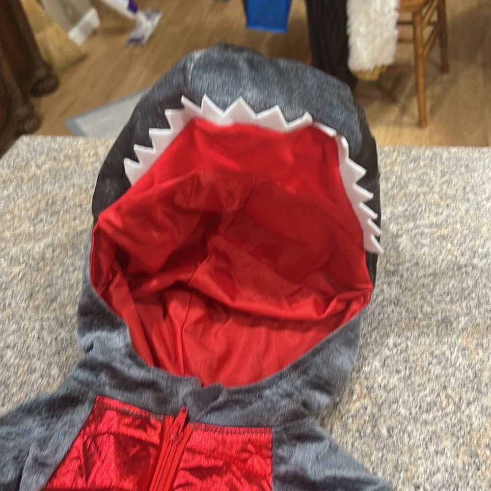 Ministry of Rascal dragon costume size 2T